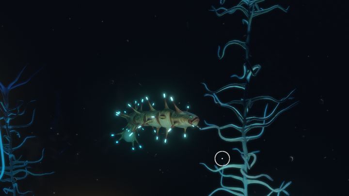 Jaskinie Krwistych Wodorostów są więc strefą, w której warto posiadać bazę - Subnautica: Jaskinie Krwistych Wodorostów | Strefy, Biomy - Subnautica - poradnik do gry