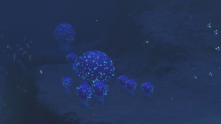 1 - Subnautica: Strefa Drzew Bulbowych | Strefy, Biomy - Subnautica - poradnik do gry