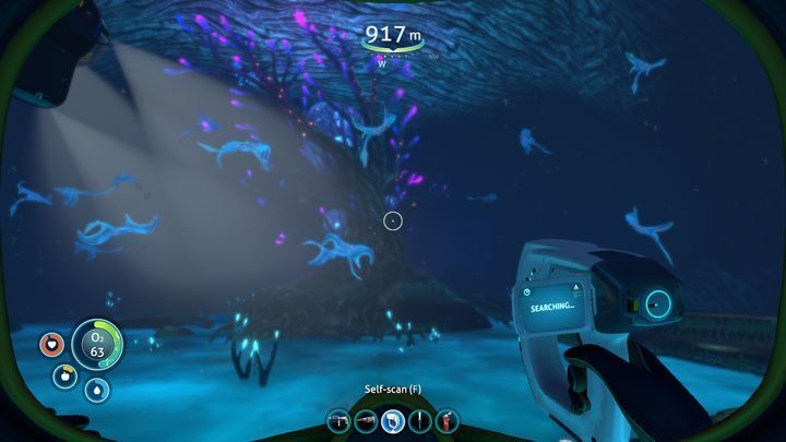 W tej części strefy dominuje szkielet ogromnego niezidentyfikowanego organizmu - Subnautica: Zagubiona Rzeka | Strefy, Biomy - Subnautica - poradnik do gry