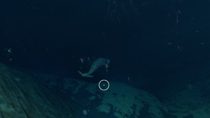 Boneshark - Subnautica Below Zero: Rocket Island i Thermal Spires - Subnautica - poradnik do gry