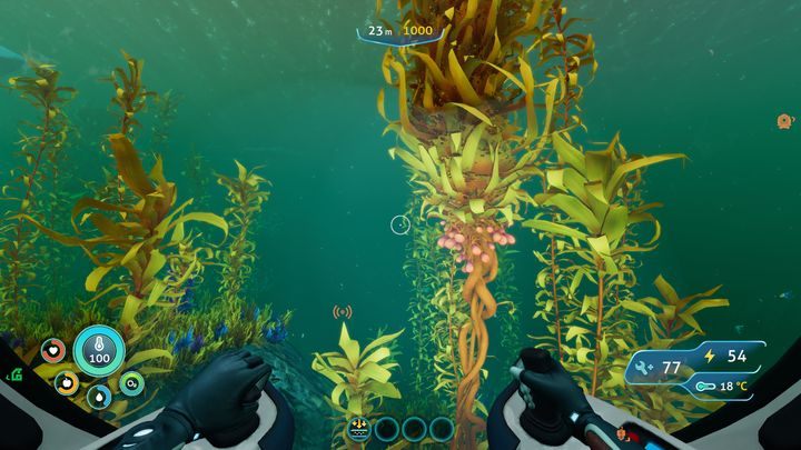 W Arctic Kelp Forest nie napotkacie na agresywne istoty - Subnautica Below Zero: Arctic Kelp Forest - surowce, fauna - Subnautica - poradnik do gry