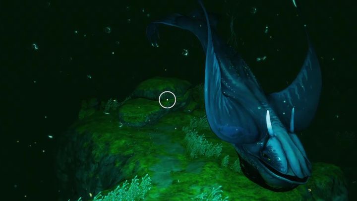 Dodatkowo możecie także pogłaskać Wieloryba - Subnautica Below Zero: Wieloryb świetlisty - jak dosiąść? - Subnautica - poradnik do gry