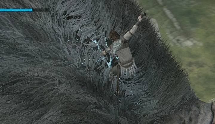 Pęknięcie na skórze kolosa - Walka z kolosami w Shadow of the Colossus - Shadow of the Colossus - poradnik do gry