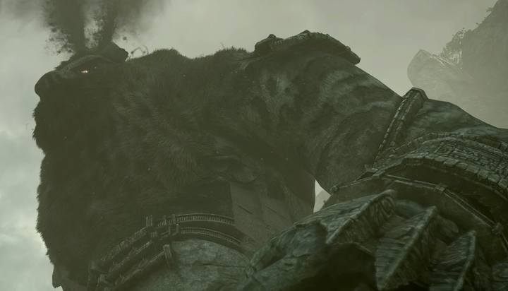 Eliminacja kolosów to główny cel gry. - Wszystkie kolosy w Shadow of the Colossus - Shadow of the Colossus - poradnik do gry
