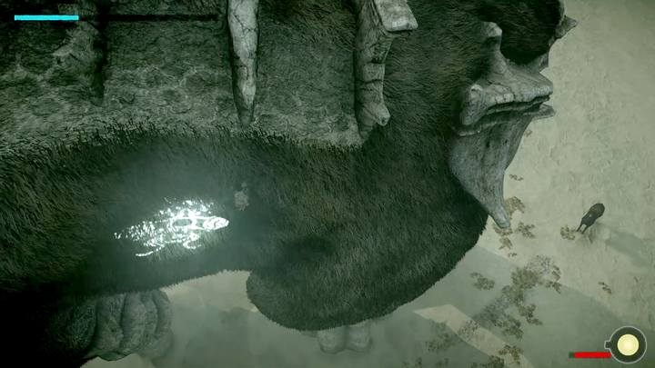 Na wyższych poziomach trudności napotkasz także punkt na bocznej stronie tułowia - Kolos 2 - Quadratus | Solucja Shadow of the Colossus - Shadow of the Colossus - poradnik do gry