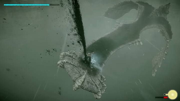 Punkt witalny na ogonie - Kolos 5 - Avion | Solucja Shadow of the Colossus - Shadow of the Colossus - poradnik do gry