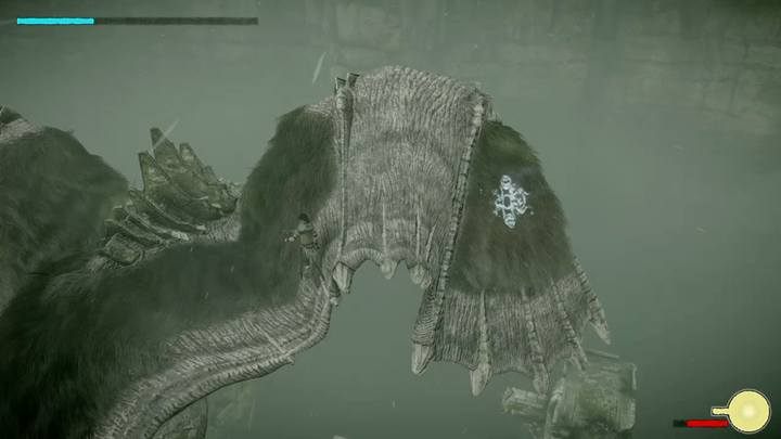 W przypadku skrzydeł musisz uchwycić moment poprzez analizę lotu, gdy smok będzie szybował - Kolos 5 - Avion | Solucja Shadow of the Colossus - Shadow of the Colossus - poradnik do gry