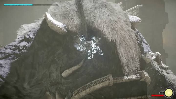 Punkt na plecach wroga - Kolos 6 - Barba | Solucja Shadow of the Colossus - Shadow of the Colossus - poradnik do gry