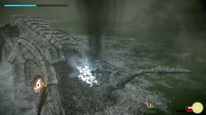 Główny punkt witalny znajduje się na głowie przeciwnika - Kolos 7 - Hydrus | Solucja Shadow of the Colossus - Shadow of the Colossus - poradnik do gry
