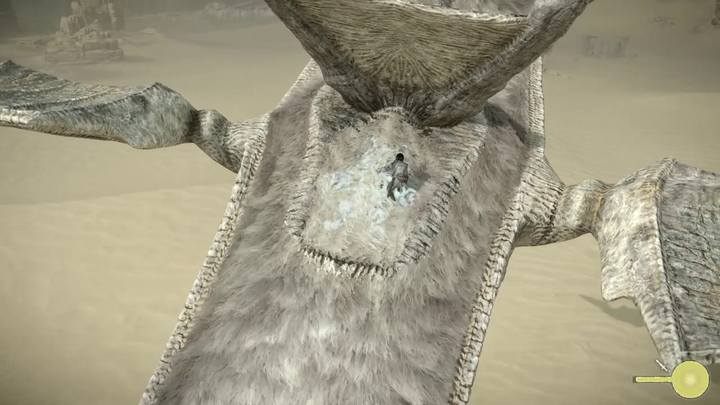 Jeden z punktów witalnych na ciele kolosa - Kolos 13 - Phalanx | Solucja Shadow of the Colossus - Shadow of the Colossus - poradnik do gry