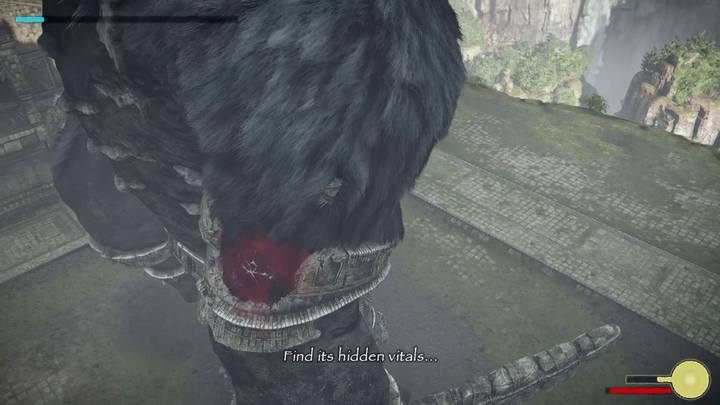 Na łokciu znajduje się kluczowy punkt witalny, po jego uszkodzeniu wróg upuści miecz - Kolos 15 - Argus | Solucja Shadow of the Colossus - Shadow of the Colossus - poradnik do gry
