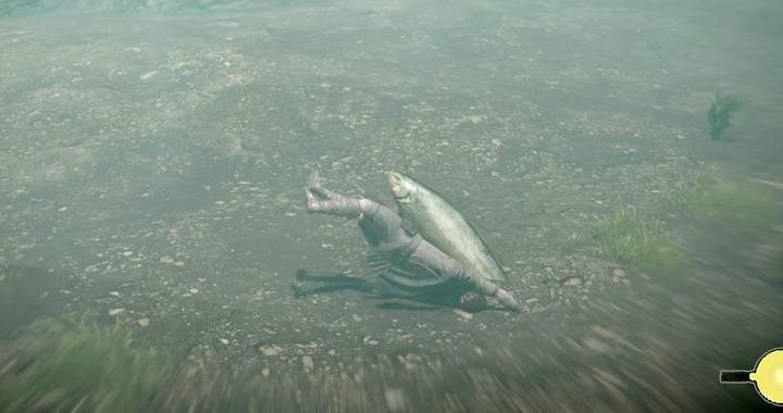 Podobnie uczynić musisz z rybą - Trofea w Shadow of the Colossus - Shadow of the Colossus - poradnik do gry