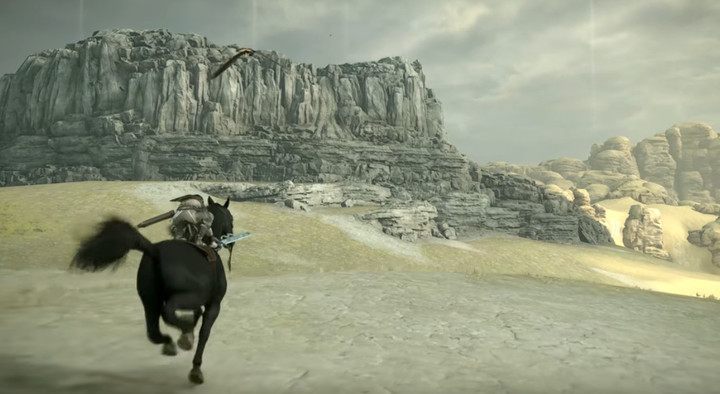 Jastrzębie zauważysz wielokrotnie przelatujące obok ciebie, gdy galopujesz na Agro - Trofea w Shadow of the Colossus - Shadow of the Colossus - poradnik do gry