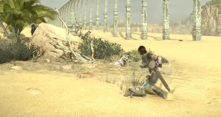 Żółwia znaleźć możesz przy palmie na południe od ołtarza w sektorze F2 - Trofea w Shadow of the Colossus - Shadow of the Colossus - poradnik do gry