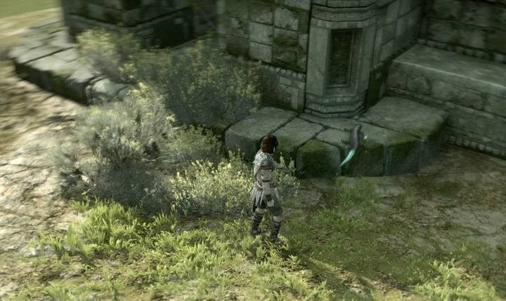 W trakcie przechodzenia gry możesz natrafiać na jaszczurki, które łatwo jest zauważyć po ich świecących ogonach - Shadow of the Colossus - poradnik do gry