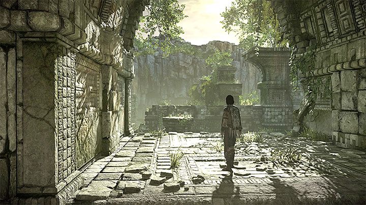 Tak, aczkolwiek należy go najpierw uaktywnić z poziomu opcji gry - Shadow of the Colossus - poradnik do gry