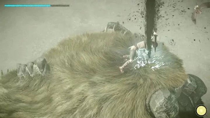 Tak, zabijanie kolosów jest niestety obowiązkowe i wynika to z założeń fabuły gry - Shadow of the Colossus - poradnik do gry