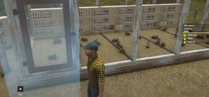 Hodowla królików - Hodowla królików i kur w Pure Farming 2018 - Pure Farming 2018 - poradnik do gry