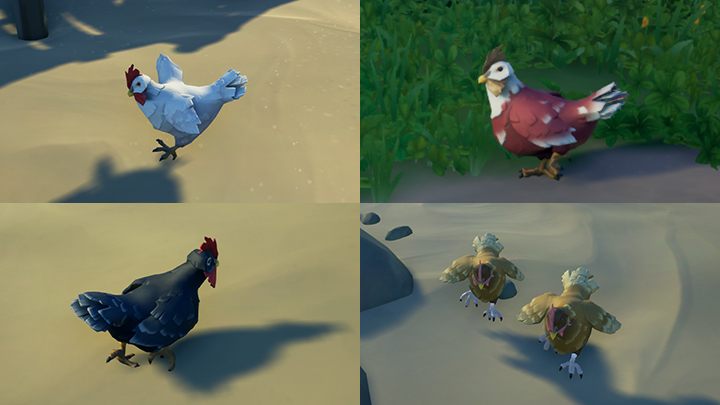 Świnie łapie się w taki sam sposób, tyle że potrafią być trochę szybsze - Sea of Thieves: Kurczaki, świnie - jak łapać? - Sea of Thieves - poradnik do gry