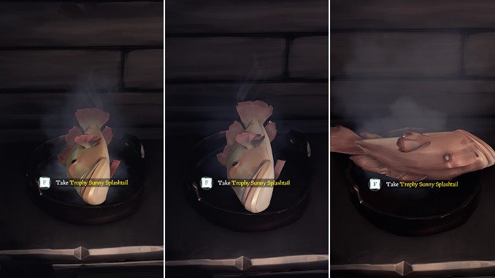 Na powyższym obrazku można zauważyć fazy gotowania Ryby Trofeum - Sea of Thieves: Gotowanie - Sea of Thieves - poradnik do gry