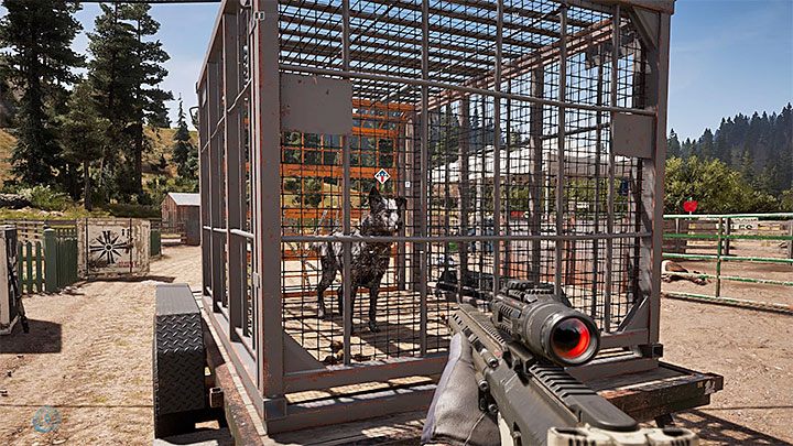 Po oczyszczeniu większości lub całości farmy odszukaj pokazaną na obrazku klatkę, w której więziony jest pies Boomer - Far Cry 5 - Najlepszy przyjaciel człowieka - Far Cry 5 - poradnik do gry