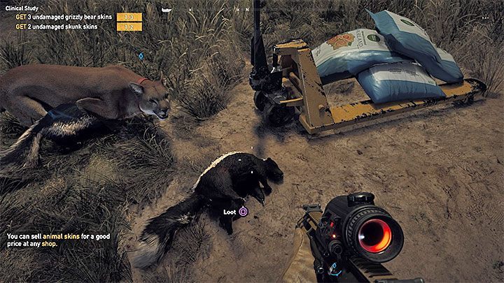 To bardzo proste zadanie, bo skunksy brały udział w walkach na farmie - Badania kliniczne | Rzeka Henbane | Solucja Far Cry 5 - Far Cry 5 - poradnik do gry