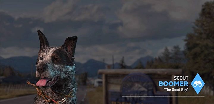 Boomer to pierwszy specjalista z listy w grze Far Cry 5 - Specjaliści, towarzysze w Far Cry 5 - Far Cry 5 - poradnik do gry