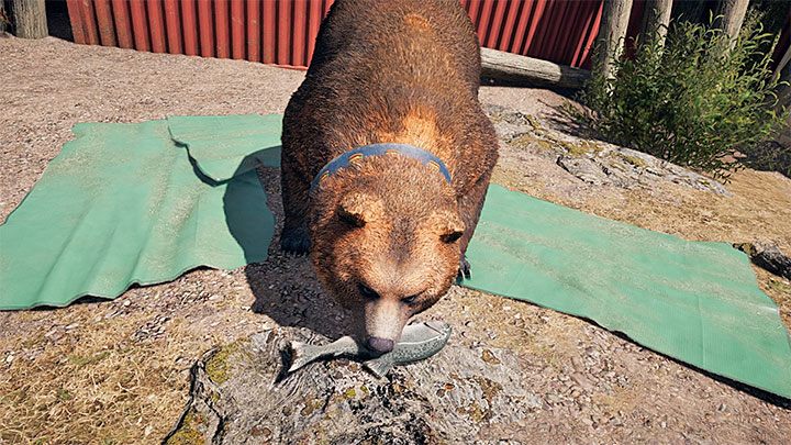 Dopiero po zabezpieczeniu Ośrodka KIEŁ spotkaj się z Wadeem żeby odebrać od niego misję fabularną Osobisty miś bojowy - Specjaliści, towarzysze w Far Cry 5 - Far Cry 5 - poradnik do gry