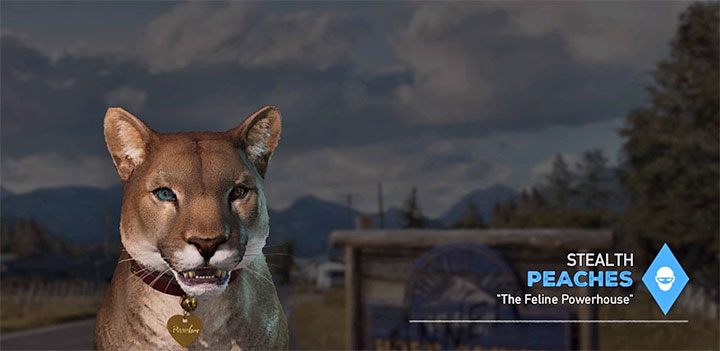 Peaches to siódmy specjalista z listy w grze Far Cry 5 - Specjaliści, towarzysze w Far Cry 5 - Far Cry 5 - poradnik do gry