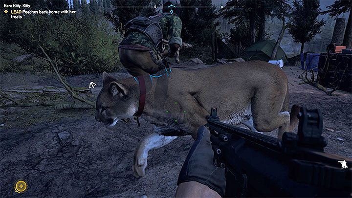 Po dotarciu do siedziby taksydermii musisz odebrać od Miss Mable zadanie fabularne Kici, kici - Specjaliści, towarzysze w Far Cry 5 - Far Cry 5 - poradnik do gry