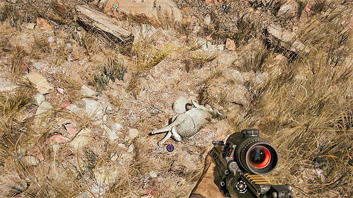 Po zamordowaniu zająca nie zapomnij go oskórowac żeby zaliczyć powiązane z nim wyzwanie i otrzymać 2 punkty talentów - Polowanie na dzikie zwierzęta w Far Cry 5 - Far Cry 5 - poradnik do gry