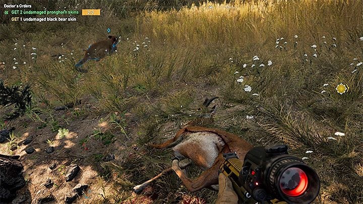 Każde z zabitych zwierząt (1 niedźwiedź czarny, 2 widłorogi) musisz po udanym ataku oskórować - Polecenie lekarza | Rzeka Henbane | Solucja Far Cry 5 - Far Cry 5 - poradnik do gry