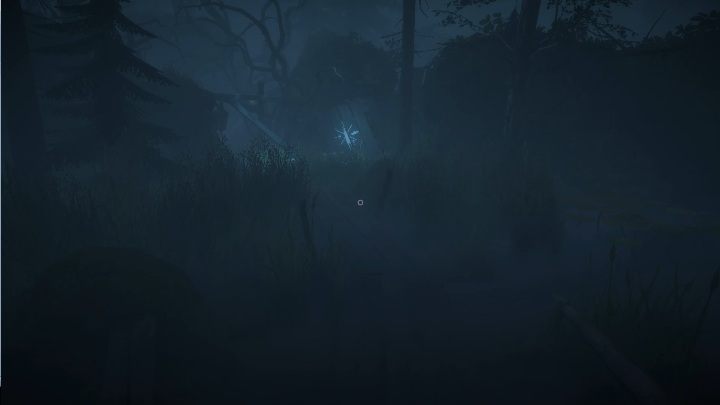 Ostatni kamień musisz ułożyć na kapliczce ustawionej na końcu ścieżki oznaczonej gwiazdą - Solucja | Lower Garden Lake Ridden - Lake Ridden - poradnik do gry