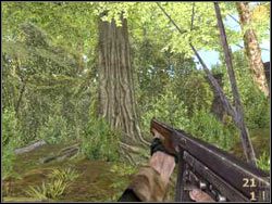 Ja doliczyłem się około sześciu - THREE CANYONS cz.2 | Vietcong - Vietcong - poradnik do gry