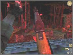 Po dłuższej wędrówce dojdziesz do drugiego brzegu - PO TLONG KARAI cz.5 | Vietcong - Vietcong - poradnik do gry