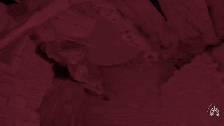 Na końcu drogi otworzy się przed tobą nowa lokacja - Bezczelny Byk - Część 4 - The Forsaken Cathedral | Solucja | Agony - Agony - poradnik do gry