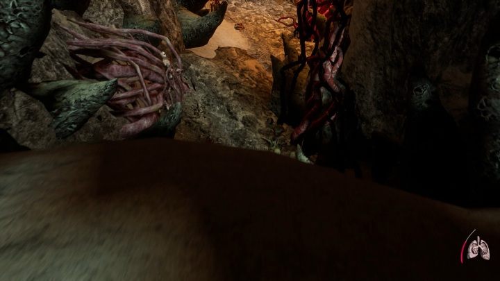 Wejdź na kamienną ścieżkę - Część 4 - The Forsaken Cathedral | Solucja | Agony - Agony - poradnik do gry