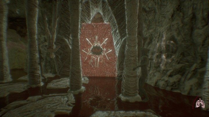 Jako sukub możesz zabijać wrogów, podnosić przedmioty, rozbijać wcześniej niedostępne wrota oraz przemierzać nowe lokacje - Tryb sukuba w grze Agony - Agony - poradnik do gry