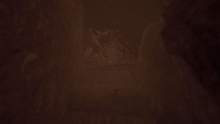 Serca nie są potrzebne do otworzenia wrót - Część 1 - The Mind Maze | Solucja | Agony - Agony - poradnik do gry