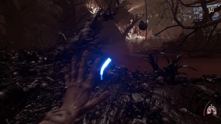 W drugiej części trafisz do lasu - Część 2 - The Floating Forest | Solucja | Agony - Agony - poradnik do gry