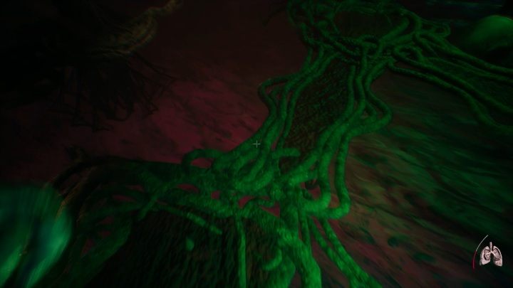 Po drugiej stronie zbiornika trafisz do lokacji zwanej Grzyb umysłu / Mushroom Mind - Część 2 - The Floating Forest | Solucja | Agony - Agony - poradnik do gry