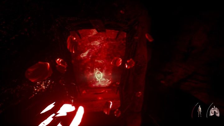 Po przejściu przez wrota wskocz do wody, na dnie znajduje się obraz - Część 2 - The Floating Forest | Solucja | Agony - Agony - poradnik do gry