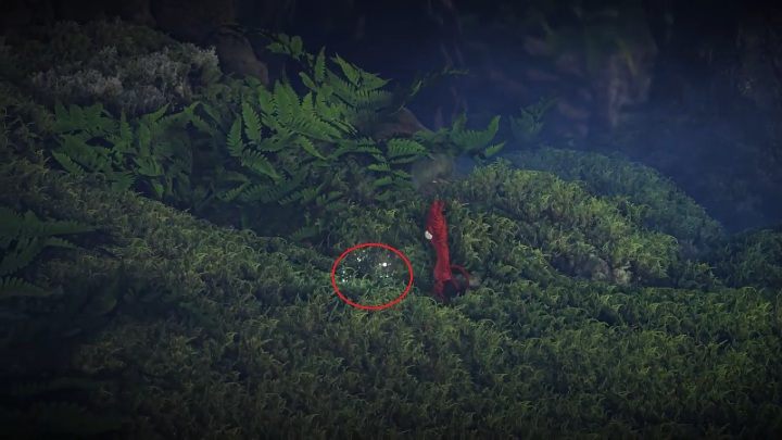 To kolejna znajdzka, która zostanie samoistnie zebrana przez twoich bohaterów - Sekrety Little Frogs - poziom 3 Unravel 2 - Unravel 2 - poradnik do gry