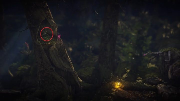 Ten sekret znajdziesz w dziupli - Sekrety w Nightswimming poziom 4 Unravel 2 - Unravel 2 - poradnik do gry