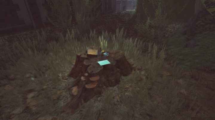 Znajdziesz tutaj wiadomość od Amandy, maskę oraz ubrania - Ogród posiadłości Yelvertonów - solucja Lust for Darkness - Lust for Darkness - poradnik do gry