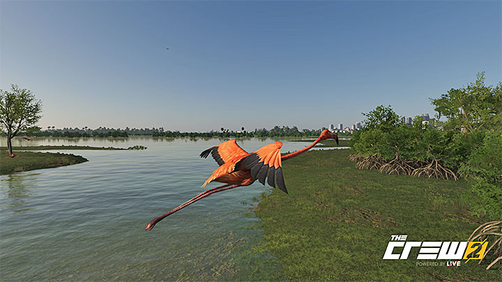 Opis: Ostatnia zapanowała jakaś obsesja na punkcie różu - Album - Offroad | Zadań fotograficznych w The Crew 2 - The Crew 2 - poradnik do gry