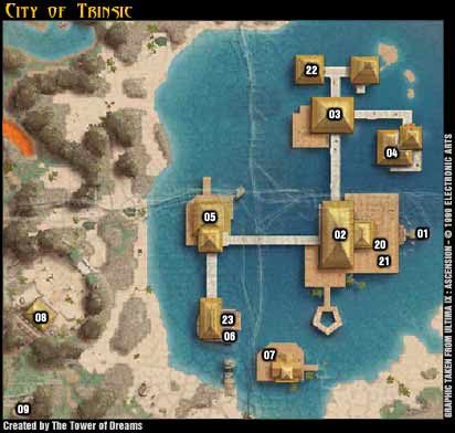 Na wyspę Trinsic możemy przypłynąć statkiem razem z Raven po pierwszej wizycie w Terfin i powrocie do Buccaneers Den - Trinsic - Ultima IX: Ascension - poradnik do gry