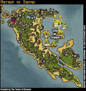 1 - Trinsic - Ultima IX: Ascension - poradnik do gry