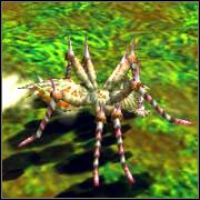 Przygotuj się, bo za chwilę czeka Cię pierwsza walka - Witt Forest | ROZDZIAŁ 1 | Grandia II - Grandia II - poradnik do gry