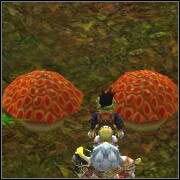 Czeka Cię kolejna zabawa z rozwalaniem grzybków - Ghoss Forest East | ROZDZIAŁ 3 | Grandia II - Grandia II - poradnik do gry